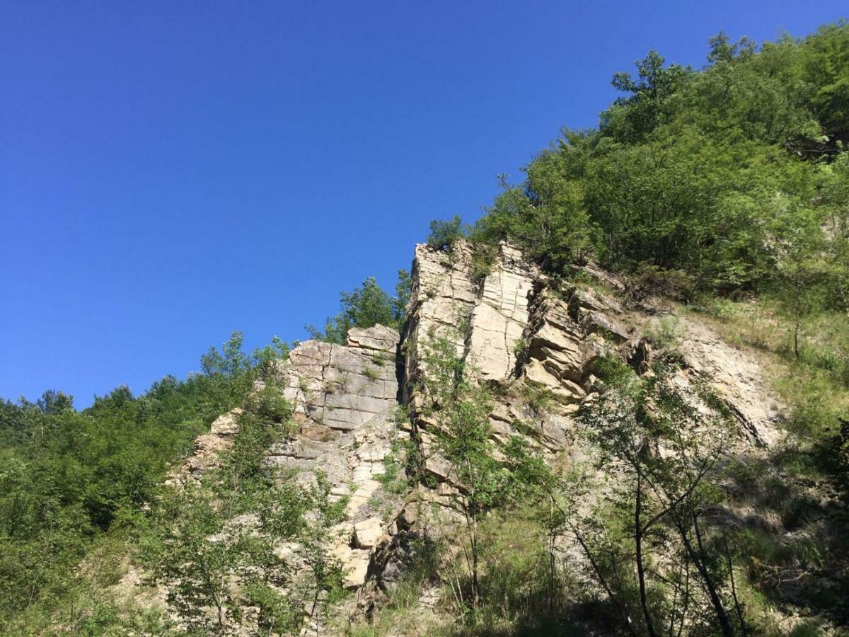 Bed and Breakfast B B Griffondoro Cantalupo Ligure Екстер'єр фото